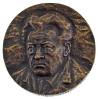 Rajki László (1939-) 1979. "Darvas Irodalmi Emlékház - Orosháza" kétoldalas bronz emlékpla...