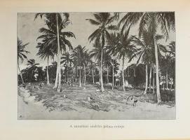 Cholnoky Béla: Gróf Teleki Sámuel útja Kelet-Afrikában. 26 képpel, 1 térképpel. Világjárók sorozat. ...