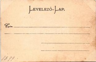 Bártfay Margit, a Népszínház tagja. Strelisky cs. és kir udvari fényképész felvétele (fl)