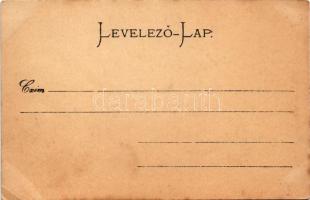 1899 (Vorläufer) Ligeti Juliska. Strelisky cs. és kir udvari fényképész felvétele (EK)