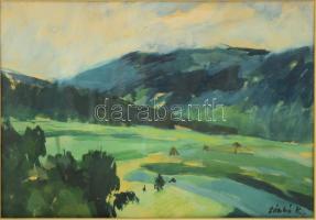 Zámbó Kornél (1938- ): Hegyvidéki táj, tempera, papír, jelzett. Dekoratív, üvegezett, kissé sérült f...