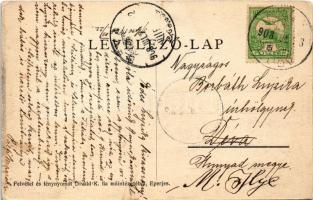 1908 Abos, Obisovce; vasútállomás. Divald K. fia / railway station (EK)