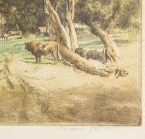 Csergezán Pál (1924-1996): Alföldi táj. Színezett rézkarc, papír, jelzett, üvegezett fakeretben, 21×...