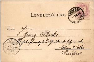 1895 (Vorläufer) Újtátrafüred, Neu-Schmecks, Novy Smokovec (Magas-Tátra, Vysoké Tatry); Europa száll...