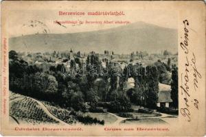 1906 Berzevice, Brezovica nad Torysou (Sáros megye); Nagyméltóságú dr. Berzeviczy Albert sétakertje, kastélypark. Enten Lajos felvétele és kiadása / castle park (EK)