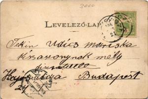 1906 Berzevice, Brezovica nad Torysou (Sáros megye); Nagyméltóságú dr. Berzeviczy Albert sétakertje,...