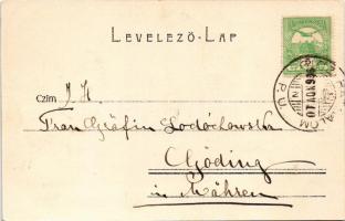 1906 Gic (Veszprém), Jankovich-Bésán kastély + "GICZ-HATHALOM P.U." vasúti bélyegzés