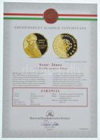 ifj. Szlávics László (1959-) 2011. "Nagy Magyarok / Arany János" aranyozott Cu emlékérem t...