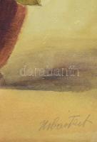 Urbántsek jelzéssel: Csendélet. Akvarell, papír, 56x38 cm. Üvegezett fakeretben
