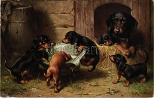 1916 Dachshund dogs, puppies. T.S.N. Serie 1541. (4 Muster) s: Reichert (Rb)