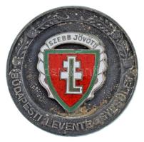 ~1930. "Szebb Jövőt! - Budapesti Levente Egyesület" kétoldalas hadifém díjérem zománcos rátéttel (40mm) T:XF