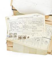 Óriási családtörténeti kutatási anyag. Családfák, összeírások, feljegyzések, keresztlevelek, stb az ...