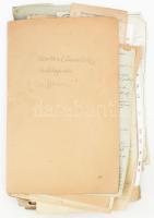 Óriási családtörténeti kutatási anyag. Családfák, összeírások, feljegyzések, keresztlevelek, stb az ...