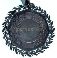 ~1900. "Ép ész edzett testben él" kétoldalas, jelzett Ag díjérem gravírozással, SGA gyártó...