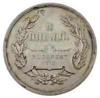 1913. "Baromfitenyésztők Országos Egyesülete 1902 / Az érdem jeléül" jelzett Ag díjérem, h...