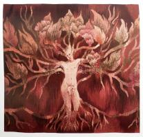 Hann Ferenc: Péreli Zsuzsa. Szelényi Károly felvételeivel, Frank János írásával. H.n., 1992, Berta K...