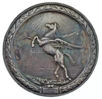 Anton Scharff (1845-1903) 1874. "Kincsem" peremen jelzett Ag emlékérem. "KINCSEM 17.M...