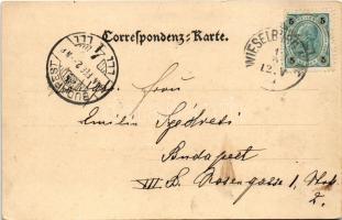 1904 Wieselburg, Zeile mit Schloss / castle. Art Nouveau