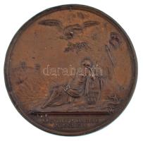 1762. "IMP. FRANCISCUS AVG. M. THERESIA AVG. / SECVRITAS DACIAE MDCCLXII" kétoldalas Cu ér...