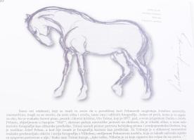 Jozef. A vajdasági fényképészet európai értékei és hatása: Pechán József (1875-1922) [vajdasági magy...