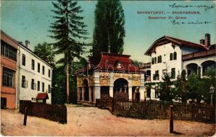 1913 Savanyúkút, Bad Sauerbrunn; Szanatórium Dr. Grimm, Pál forrás. Hönigsberg Frigyes kiadása / Paul Quelle / sanatorium, mineral water spring