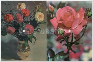 6 db MODERN Colorvox hanglemez képeslap / 6 modern Colorvox record postcards