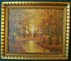 XX. sz. eleje: Markovich jelzéssel: Téli táj olaj-farost, jelzett, keretben 34x28 cm