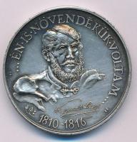 Sebestyén Sándor (1949-2010) 1989. "MÉE - 200 éves a sátoraljaújhelyi Kossuth Lajos Gimnázium / '... Én is a növendékük voltam...' 1810-1816" ezüstözött bronz emlékérem (42,5mm) T:AU patina