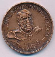 Sebestyén Sándor (1949-2010) 1989. "MÉE - 200 éves a sátoraljaújhelyi Kossuth Lajos Gimnázium / '... Én is a növendékük voltam...' 1810-1816" bronz emlékérem (42,5mm) T:AU patina