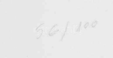 Bálint Endre (1914-1986): Allegro Barbaro, 1978. Szitanyomat, papír, jelzett, számozott (56/100). 44...