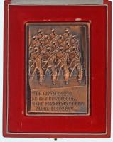 Kiss Nagy András (1930-1997) 1977. "De elvtársaim! Ez az a munkásság, mely osztályharcban vasba öltözött... / Emlékül a Munkásőrség alapító tagjának a Munkásőrség országos parancsnokától 1977. II." vörösréz emlékplakett eredeti, sérült tokban (104,5x72mm) T:AU