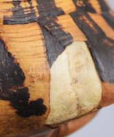 Teknős páncél 20x15 cm