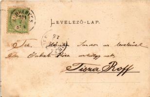 1904 Kunhegyes, Városház, református templom, Kakati rész, nyugati rész a szélmalommal. Farkas Sándo...