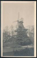 cca 1910 Szélmalom a fenyőfa mögött, fotó, szép állapotban, 13×9 cm / windmill