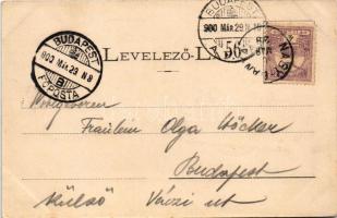 1900 Nagybánya, Baia Mare; Széchenyi liget és vendéglő / park and restaurant