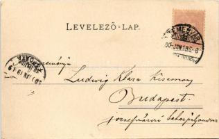 1900 Temesvár, Timisoara; Gyárvárosi Fő utca részlete, kerékpár és Gojke I. üzlete / Fabriker Hauptg...