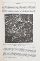 Börzsöny néprajza. Studia Comitatensia 5. Szerk.: Ikvai Nándor. Szentendre, 1977, Pest megyei Múzeum...