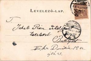 1900 Mikulás / Saint Nicholas greeting. litho