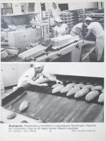 1967 Bara István sajtófotója a Lágymányosi Kenyérgyárról, MTI fotó, 26x18 cm