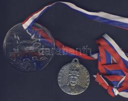 Csehszlovákia DN "Karlstein - IV. Károly" ffm emlékérem T:2 + Csehország 1991. "Prága...