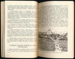 Pöstyénfürdő. Csehszlovákia. Arthritis-Ischias. Kiadói papírkötés, emléklappal, térképmelléklettel, ...