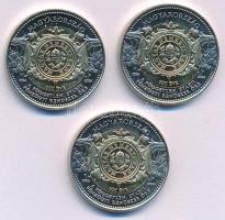 2024. 100Ft "Magyar Nemzeti Bank" (3x) T:AU