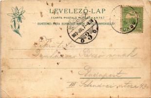 1903 Filefalva, Filicz, Filice (Gánóc, Gánovce); Tátra-Szepes-Zips, Gánóci mészszikla. Feitzinger Ed...