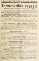 1943 Termesszünk repcét. a Földművelésügyi Miniszterium kiadványa. Plakát 30x48 cm