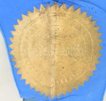 1873 Philadelphia Egyetem klasssica philologia díszes doktori diplomája, Edward Pötzl/Edward Poetzl ...