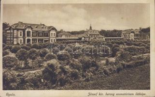 Gyula József kir. herceg szanatórium (Rb)