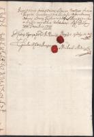 1781 Az ugocsa megyei bétafalvai Pál Ferenc nemességének igazolására folytatott eljárás tanuvallomás...