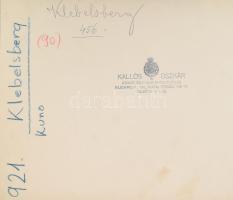 1932 Klebelsberg Kunó (1875-1932) miniszter a ravatalon, fotó, 19×22 cm