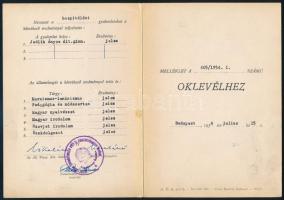 1954 Grétsy László (1932-2024) nyelvész, Prima Primissima díjas kitüntetéses magyar szakos diplomája...