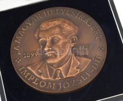 Grétsy László (1932-2024) nyelvész
Kiss László (1949-): 2006 Implom József díj a magyar helyesírásé...